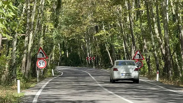 Ağaç tünel yolda görsel şölen!