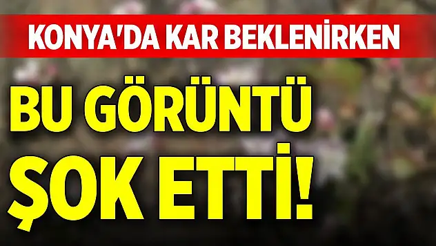 Konya'da kar beklenirken bu görüntü şok etti!