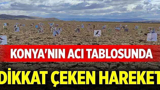Konya'nın acı tablosunda dikkat çeken hareket
