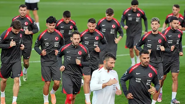 A Milli Futbol Takımı'nın rakibi Gürcistan