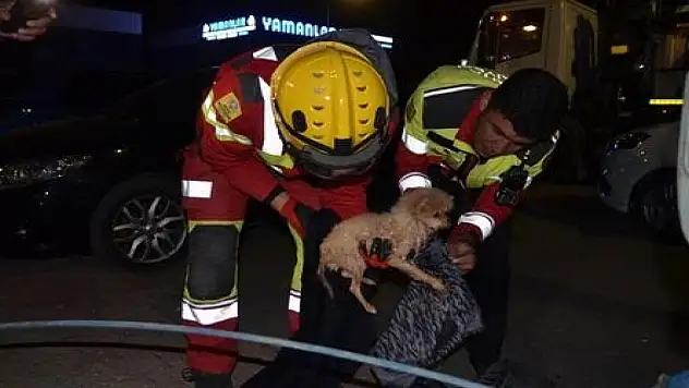 Konya'dan itfaiye ekiplerinden kurtarma operasyonu