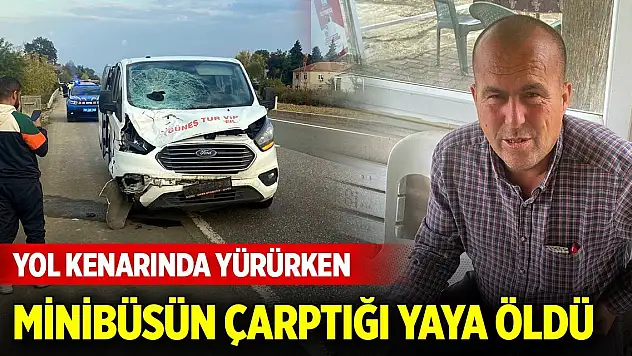 Yol kenarında yürürken minibüsün çarptığı yaya öldü