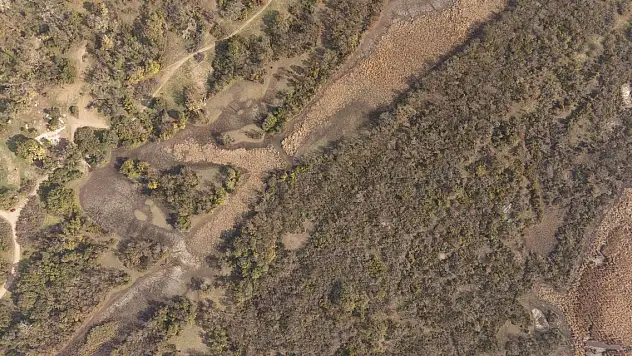 Türkiye'nin 3'üncü büyük longozu da kurudu