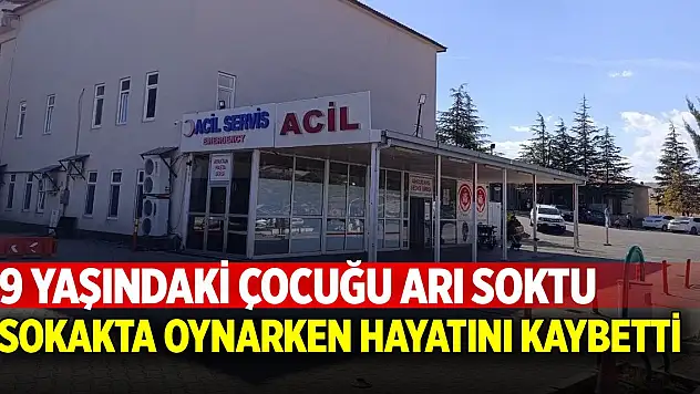 Kahramanmaraş'ta arının soktuğu çocuk hayatını kaybetti