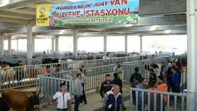 Büyükşehir Belediyesi Kurban Bayramı'na hazır