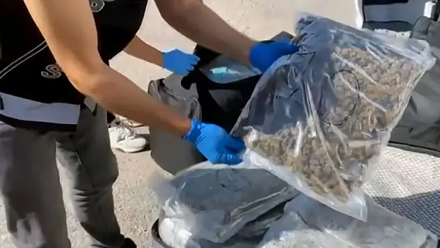 TIR'daki valizlerden 55 kilo skunk çıktı 'Arkadaşım rica etti, kıramadım' dedi