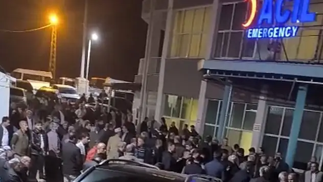 Ağaçtan düşen şahıs hayatını kaybetti