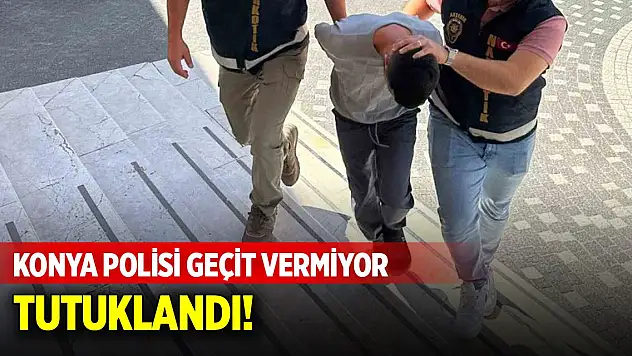 Konya'da zehire geçit yok!