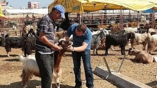 Ereğli Belediyesi Kurban Bayramı'na hazır