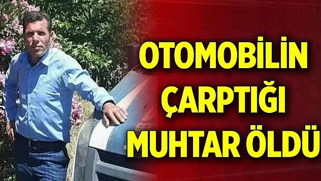 Otomobilin çarptığı muhtar Osman Yardım öldü