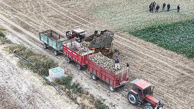 Çumra'da hasat zamanı