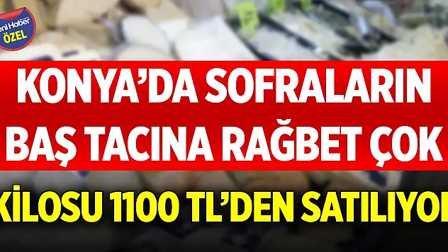 Konya'da sofraların baş tacına rağbet çok! Kilosu 1100 TL'den satılıyor
