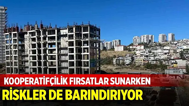 Kooperatifçilik fırsatlar sunarken riskler de barındırıyor