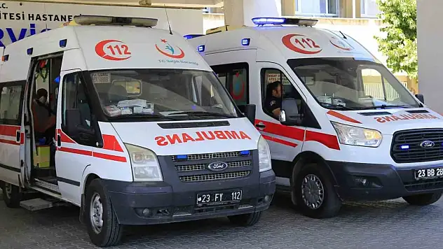 Üzüm almaya gitti, hayatını kaybetti