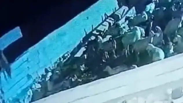 Konya'da ağıla giren kurt koyunu telef etti: O anlar kamerada