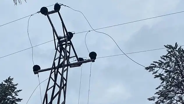 Hayvan otlatırken elektrik akımına kapılan şahıs hayatını kaybetti