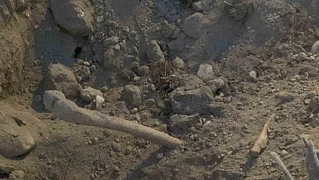 Belediye ekiplerinin kazı çalışması sırasında insan kemikleri bulundu