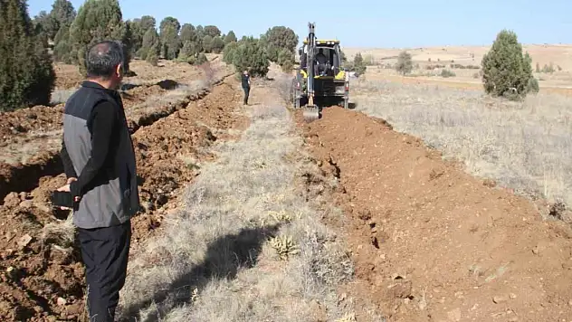 Beyşehir'de 11 bin orman fidanı daha toprakla buluşturulacak