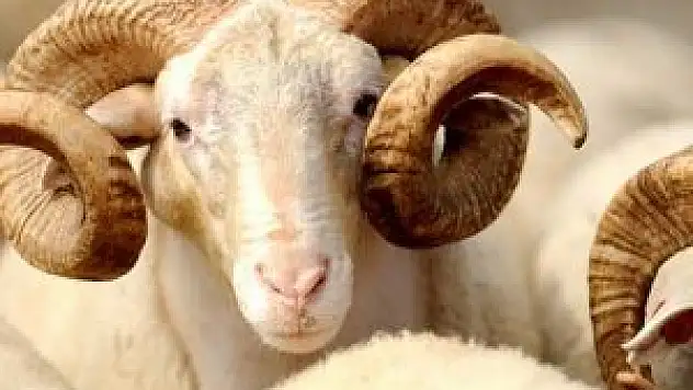 Konya'dan Bayram Mesajları