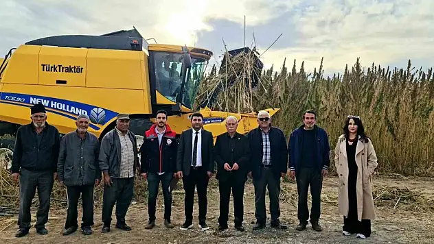 Konya Kulu'da endüstriyel kenevirin hasadı başladı