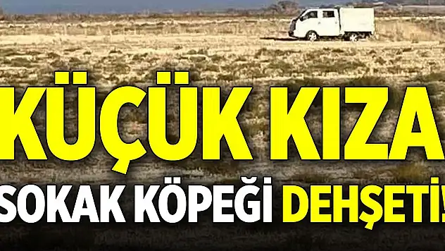 Küçük kıza sokak köpeği dehşeti!
