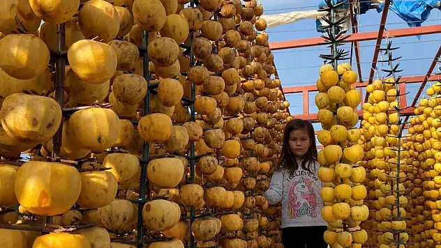 İlk kez 'Cennet Hurması Festivali' düzenlenecek