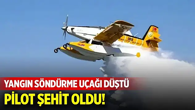 Bakım için Hırvatistan'a giden yangın söndürme uçağı düştü: Pilot şehit oldu