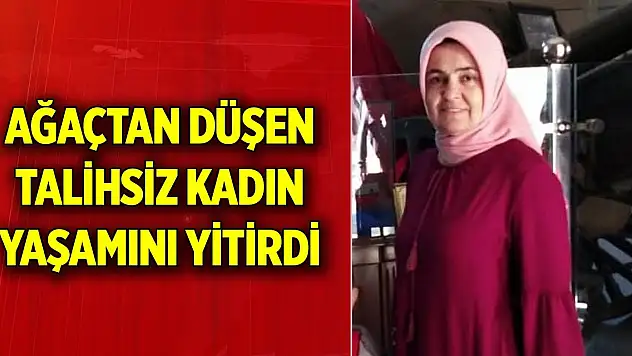 Ağaçtan düşen talihsiz kadın yaşamını yitirdi