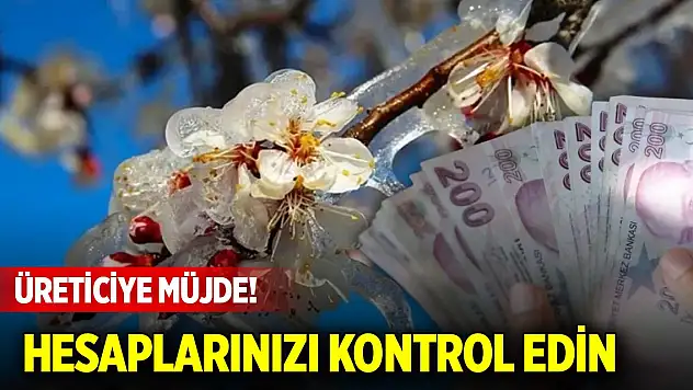 Üreticiye müjde! Hesaplarınızı kontrol edin