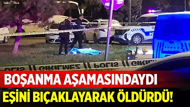 Boşanma aşamasında olduğu karısını bıçaklayarak öldürdü