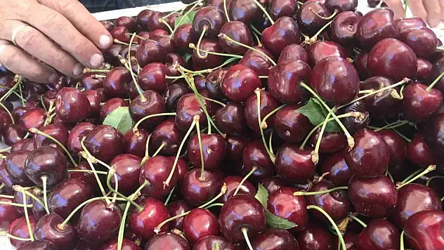 Dondurulmuş kirazda Türkiye dünya lideri