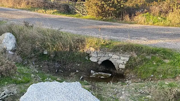 Boş arazide cesedi bulunan bebeğin annesi tutuklandı