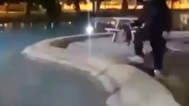 Sokak kedisini defalarca süs havuzuna attılar