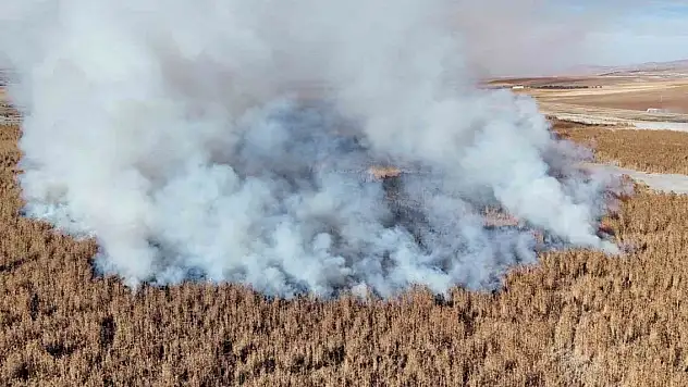 Konya'da Gökgöl sazlıkları 2 gündür yanıyor