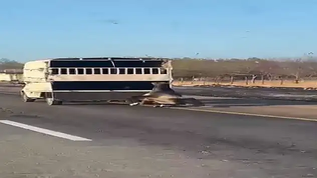 Bağlanan at yola düşüp sürüklendi