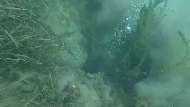 Sapanca Gölü'ndeki endişelendiren kabarcıklar!