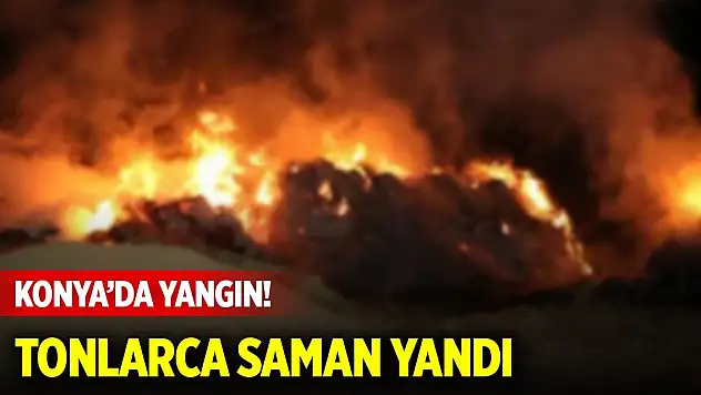 Konya'da çıkan yangında tonlarca saman yandı