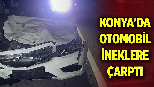 Konya'da otomobil ineklere çarptı