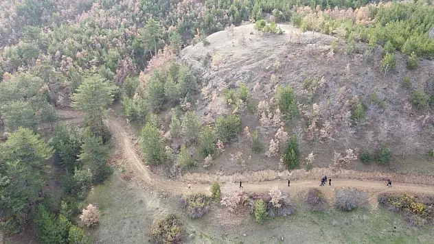 Çankırı'da mantar toplamak için evden ayrılan kadın, ormanda ölü bulundu