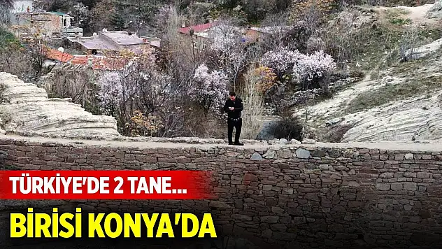 Türkiye'de 2 tane... Birisi Konya'da