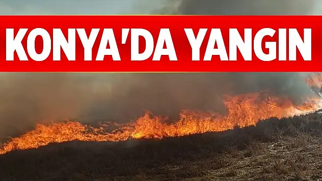 Konya'da sazlıklar alev alev yandı