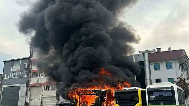 Park halindeki otobüsler cayır cayır yandı