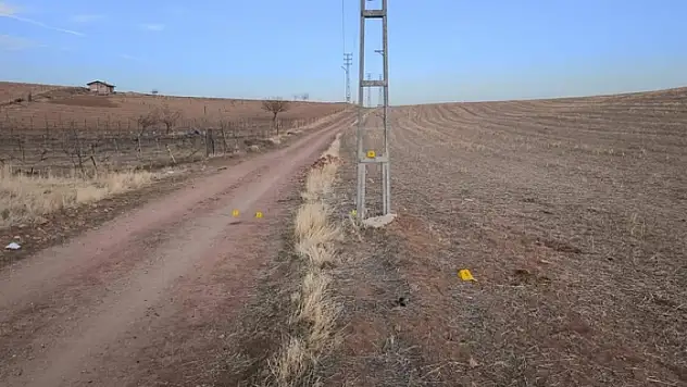 Bindiği at sonunu getirdi