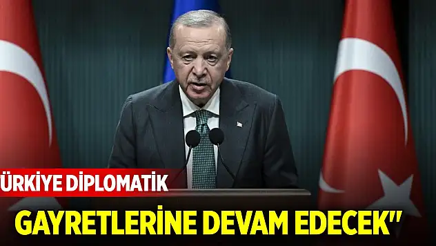 Cumhurbaşkanı Erdoğan: 'Türkiye diplomatik gayretlerine devam edecek'