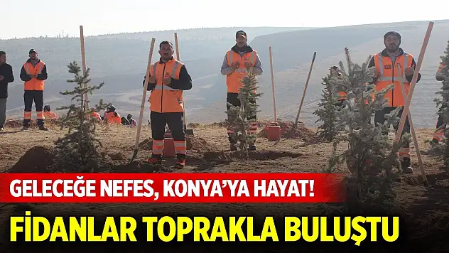 Geleceğe nefes, Konya'ya hayat! Fidanlar toprakla buluştu