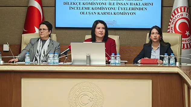 Komisyonda 'İmralı ziyareti' tartışması