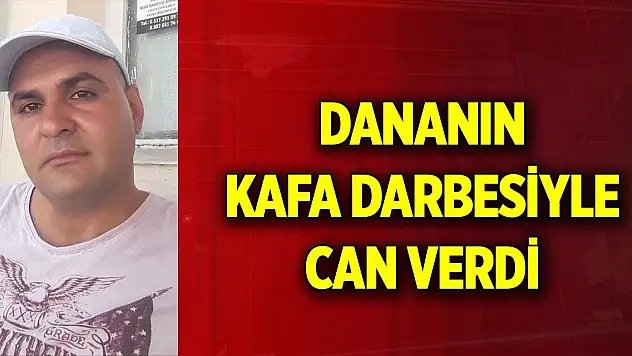 Dananın kafa darbesiyle ağır yaralanan sahibi hayatını kaybetti