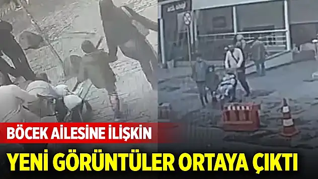 Zehirlenen Böcek ailesinin ölümü Türkiye'yi sarstı! Yeni görüntüler ortaya çıktı