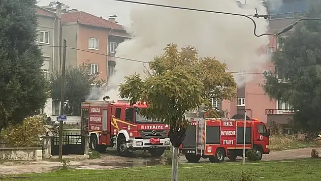 Park halinde alevlere teslim oldu