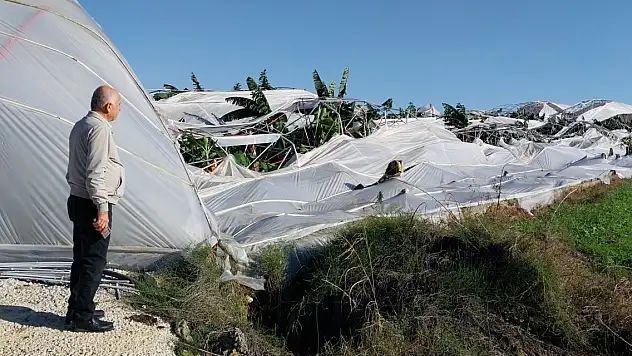 Hortum, seralara zarar verdi